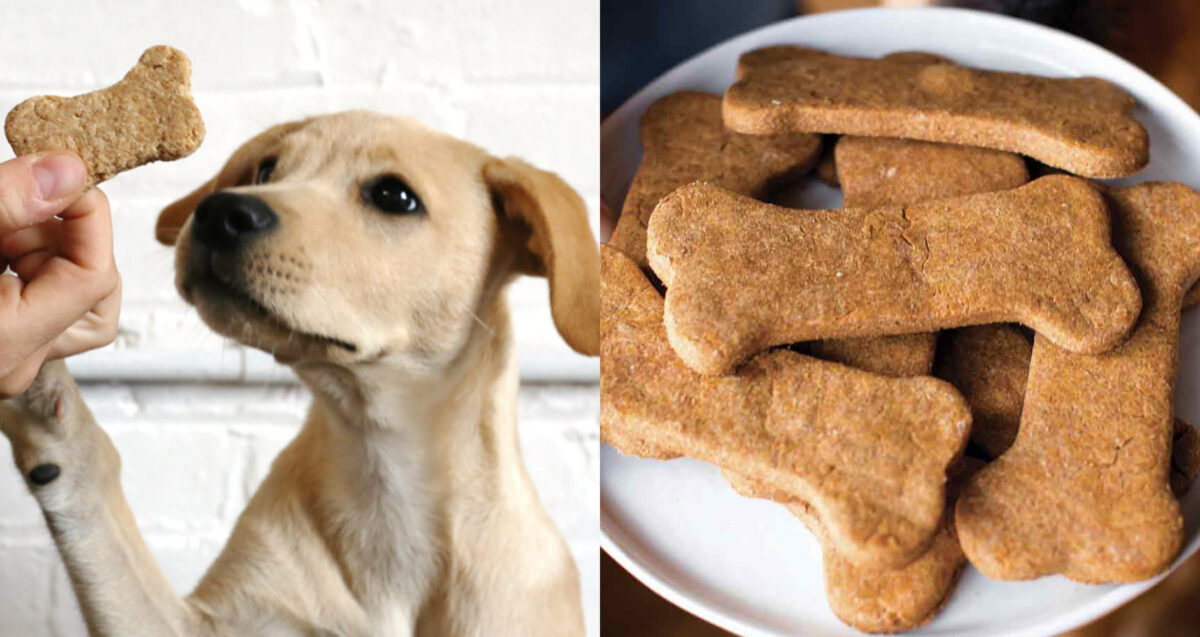 μπισκότα για σκύλους