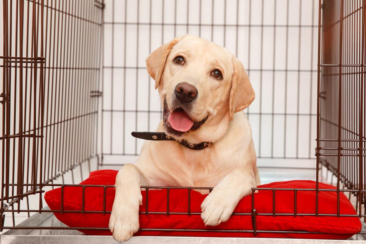 crate