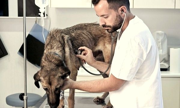 καλαζάρ
