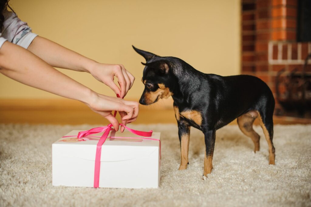 δώρο σκύλου 