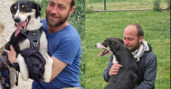 Συγκινητική στιγμή: Ο Ρεμί Ντερζέρ επανασυνδέθηκε με την αγαπημένη του σκυλίτσα ένα χρόνο μετά την απώλειά της και λιώνουν καρδιές